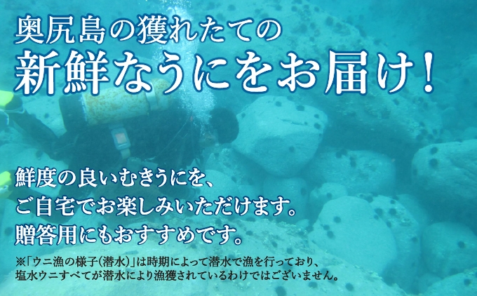 北海道奥尻産「キタムラサキウニ」100g（塩水パック）