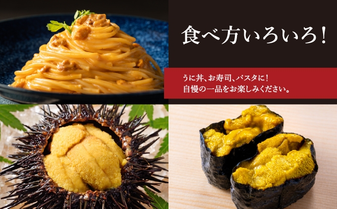 北海道奥尻産「キタムラサキウニ」100g（塩水パック）
